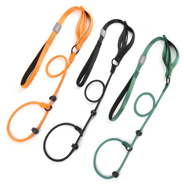 Nylon Slip Lead Dog Slip Leash and Collar Dog Training Leash with Double Handle Heavy Duty Dog Lead No Pull Puppy Walking Leash