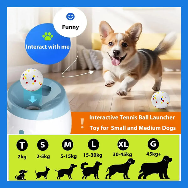 Fetch Fun Ball Launcher