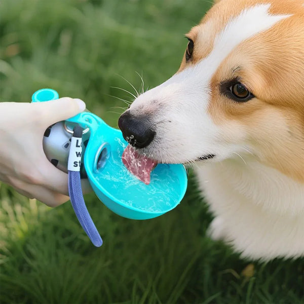 Portable Dog Hydration Companion
