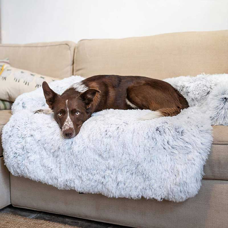 Anxiety Relief Dog Bed for Sofa