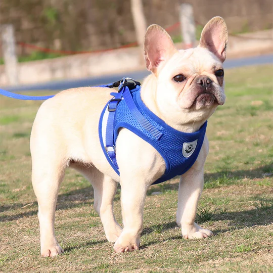 Adjustable Mesh Dog Harness