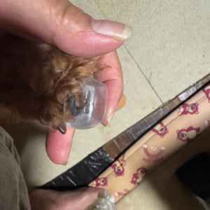 Sf3d7d9fe083d496dae0425b8aa01d67cQ.jpg