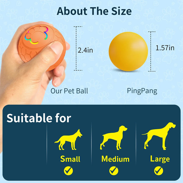Interactive Pet Bounce Ball