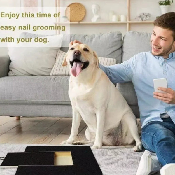 Ultimate Dog Scratch Pad