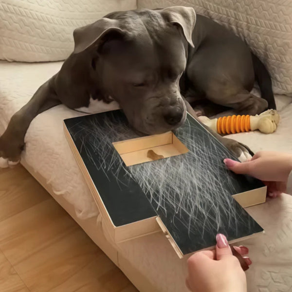 Ultimate Dog Scratch Pad