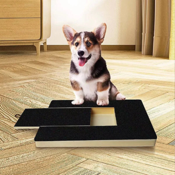 Ultimate Dog Scratch Pad